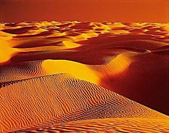 传白金工作室向微软寻求帮助 希望其资助并发行新作